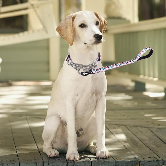 Martingale Dog Collar and Leash Set, Stainless Steel Chain, No Pull Training Collar with Flower Design, for Small, Medium, Large Dogs (NO12, L)