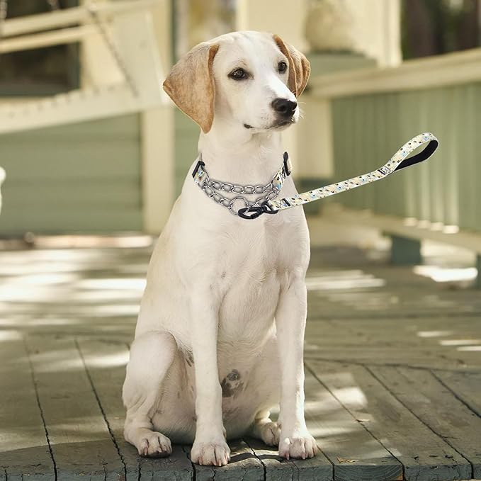 Martingale Dog Collar and Leash Set, Stainless Steel Chain, No Pull Training Collar with Flower Design, for Small, Medium, Large Dogs (NO14, L)