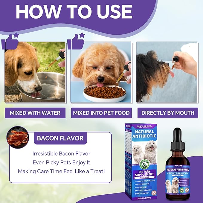 Dog Antibiotics Support - Natural Antibiotics Care for Dogs Herbal Supplement for Cough Allergy Itch Relief Immune Support Dog UTI Comfort for All Breeds & Ages - 60 ml/2 Fl Oz Bacon Flavor