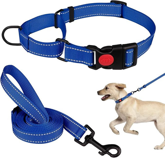 Martingale Dog Collar and Leash Set Martingale Collars for Dogs Reflective Martingale Collar for Small Medium Large Dogs(Blue&M)