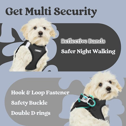 rabbitgoo Small Dog Harness, Step-in Soft Mesh Puppy Vest with Safety Buckle, Breathable Reflective Pet Harness for Small Sized Dogs, Black M