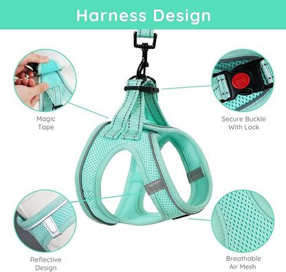 BELLA & PAL Step in Vest Harness for Small and Medium Dogs, No Pull Small Dog Harness with Leash Set, Comfortable Air Mesh Dog Vest Harness with Reflective Strip (Light Green, M)