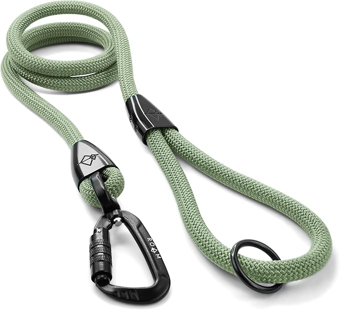 MADE TO ROAM Premium Explorer Leash - Climbing Rope Leash with Autolocking Aviation Aluminum Carabiner - Washington Rain, 4ft
