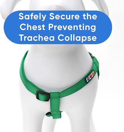 Pawtitas Solid Step-in Dog Harness – Adjustable No-Pull Vest for Puppies to Seniors, Safe & Comfortable L Lush Green