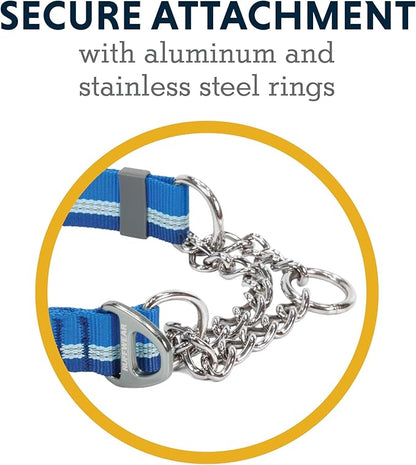 Ruffwear, Chain Reaction Dog Collar, Adjustable Reflective Martingale Escape-Proof Collar with Stainless Steel Chain, Professional Training Control, Blue Pool, 11"-14"