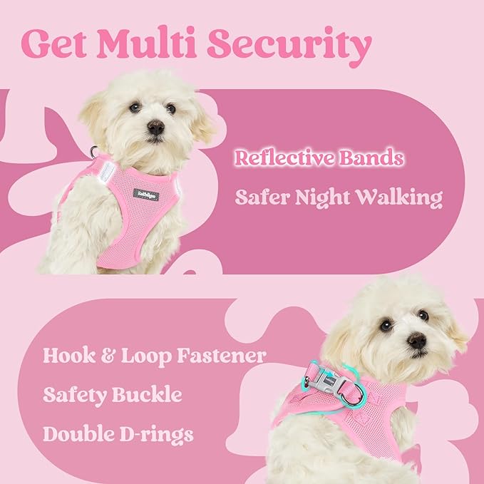 rabbitgoo Small Dog Harness, Step-in Soft Mesh Puppy Vest with Safety Buckle, Breathable Reflective Pet Harness for Extra Small Dogs, Light Pink XXXS