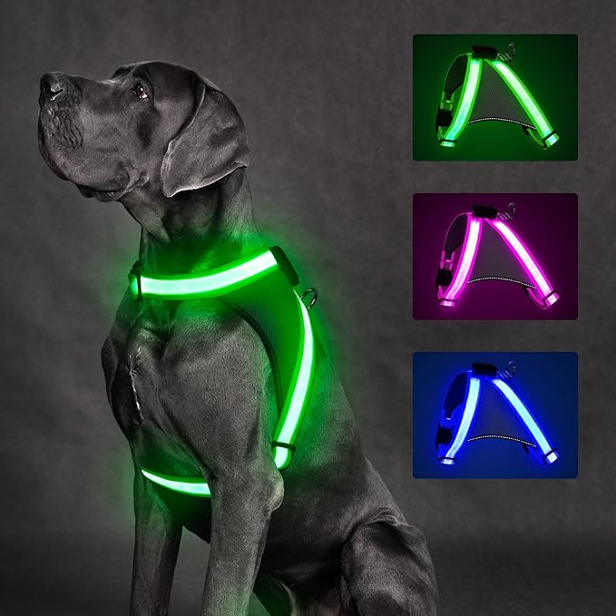 ChalkLit Light Up Dog Harness, No Pull Led Dog Harness Glow-in-The-Dark for Night Walking, USB Rechargeable Lighted Safety Vest for Small Dogs, Adjustable Soft Mesh Fully Illuminated (Green, Small)