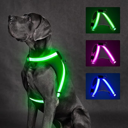 ChalkLit Light Up Dog Harness, No Pull Led Dog Harness Glow-in-The-Dark for Night Walking, USB Rechargeable Lighted Safety Vest for Medium Large Dogs, Adjustable Soft Mesh Fully Illuminated (Green, M)