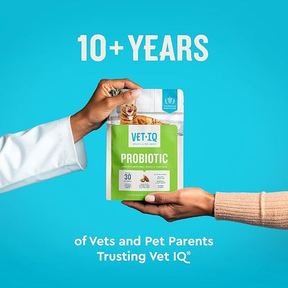 VetIQ Cat Probiotics Supplement – Probiotic, Prebiotic & Postbiotic Cat Supplements, Digestive & Gut Health Support, Constipation & Diarrhea Relief, Chicken Flavored, 3.7 oz