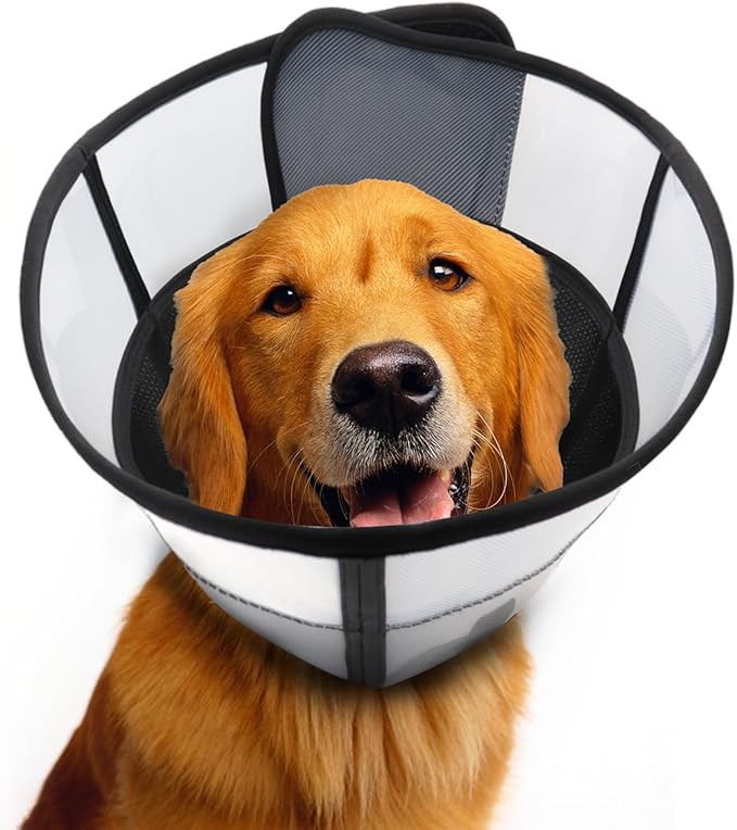 WinWeal Soft Dog Cone Collar for Dogs After Surgery, Transparent Breathable Pet Recovery Collar for Large Medium Dogs, Adjustable Dog Cone Collar, Elizabethan Collar (L, Black)