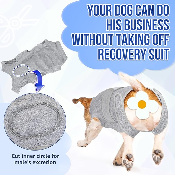 Lukovee Recovery Suit for Dogs, Zipper On Recovery Suit for Female Male Dog, Onesie Abdominal Wounds Cone E-Collar Alternative Prevent Licking Spay Recovery Suit (S,GY)