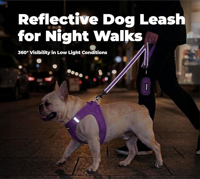 Best Pet Supplies Voyager Reflective Dog Leash or Collar with Neoprene Handle, for Small, Medium, and Large Breed Puppies, Cute and Heavy Duty for Walking, Running and Training - Purple (Leash), M