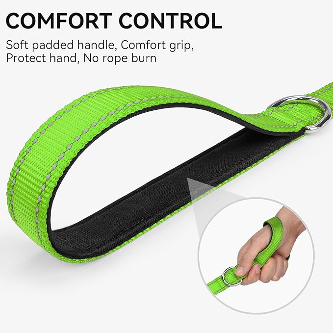 Joytale Dog Leash, 6 FT Double-Sided Reflective, Padded Handle Nylon Heavy Duty Leashes for Small Dogs Walking, Green