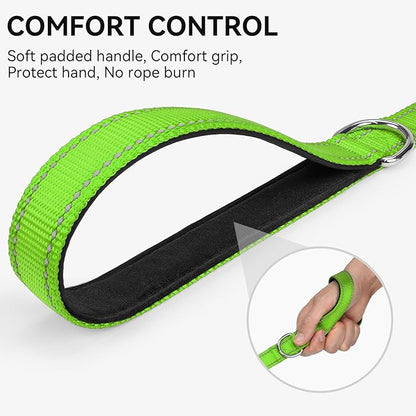 Joytale Dog Leash, 6 FT Double-Sided Reflective, Padded Handle Nylon Heavy Duty Leashes for Small Dogs Walking, Green