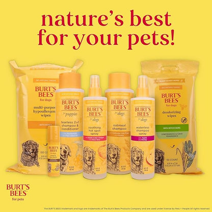 Burt’s Bees for Pets Oatmeal Dog Shampoo with Honey, Soothing Dog Shampoo for Itchy and Sensitive Skin, pH Balanced Formula That Gently Cleans and Moisturizes Dog Coats, 16 Fl Oz