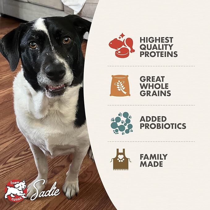 Fromm Classic Mature Adult Dog Food - Senior Dry Dog Food for Large, Medium, & Small Breeds - Chicken Recipe - 15 lb