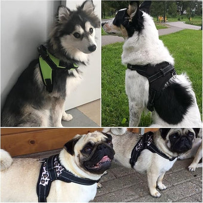 Oxford Cloth Dog Harness Leash Set for Large Medium Small Dogs Adjustable Reflective Harness for Dog(Red,-S)
