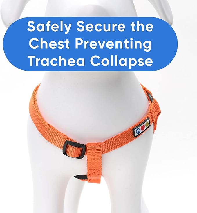 Pawtitas Medium Orange Dog Harness - Adjustable Reflective Harness for Dog Walking, Solid Color, Nylon, Buckle Closure, Machine Wash