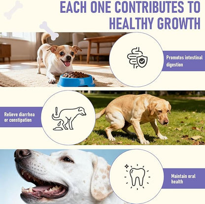 Dog Probiotics Probiotics for Dogs - Digestive Enzymes for Gut Flora, Digestive Health, Diarrhea & Bowel Support - Dog Supplement Soft Chew for Pet Immune System -（40ct ）