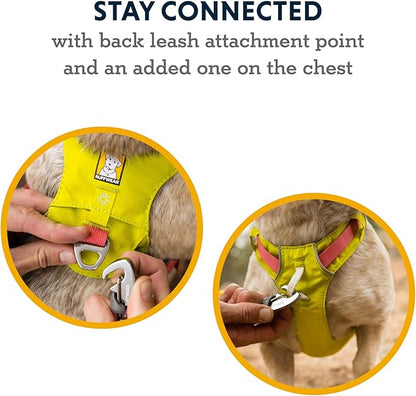 Ruffwear, Hi & Light, Everyday Lightweight Dog Harness, Trail Running, Walking, Hiking, All-Day Wear, Basalt Gray, XXX-Small