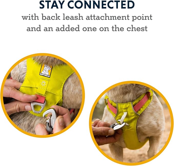Ruffwear, Hi & Light, Everyday Lightweight Dog Harness, Trail Running, Walking, Hiking, All-Day Wear, Sage Green, XX-Small