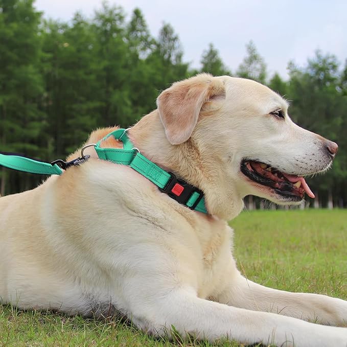 Joytale Martingale Collar for Dogs, Reflective Heavy Duty for Safety, Quick Release Buckle, Adjustable Nylon Collars for Puppy and XSmall Dogs Walking Training, Teal,XS
