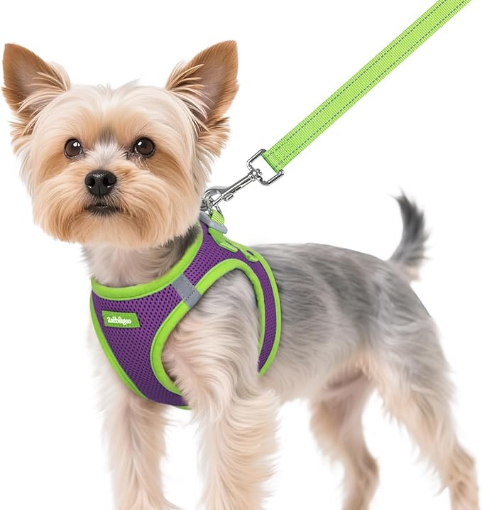 rabbitgoo Dog Harness Small Sized and Leash Set, Step-in Breathable Pet Harness, Soft Walking Reflective Puppy Vest for Small Dogs, Purple & Green, XS