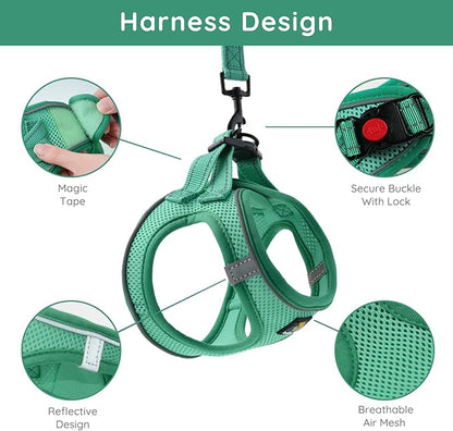 BELLA & PAL Step in Vest Harness for Small and Medium Dogs, No Pull Small Dog Harness with Leash Set, Comfortable Air Mesh Dog Vest Harness with Reflective Strip (Emerald, M)