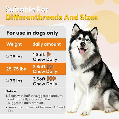 Dog Allergy Relief Chews 200ct Relieve Seasonal Allergies and Skin Itching Alleviate Licking Behavior Boosting Immunity and Hair Protection - Chicken
