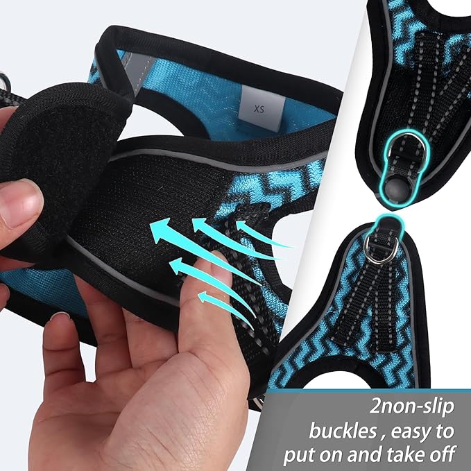 Dog Harness for Small Dogs and Leash Set, Honeycomb Grid, Reflective Lightweight Harness & Anti-Twist Pet Lead (Multi Color, Size: XS-S-M) (S, Blue)