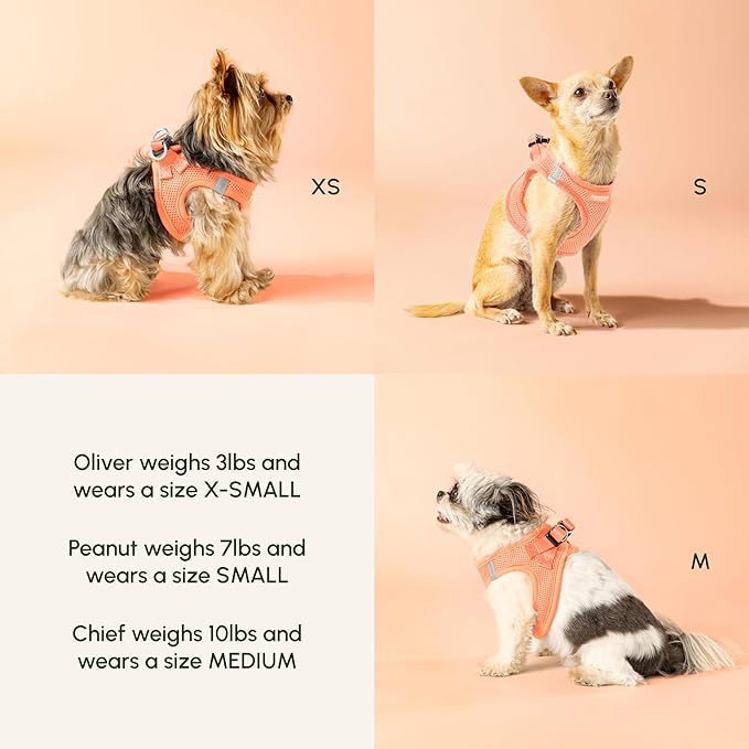 Downtown Pet Supply Step in Dog Harness for Large Dogs - Adjustable, Escape Proof Dog Harness with Reflective Trim - All-Weather, Fast-Drying Padded Mesh Fabric - Tangerine, Medium