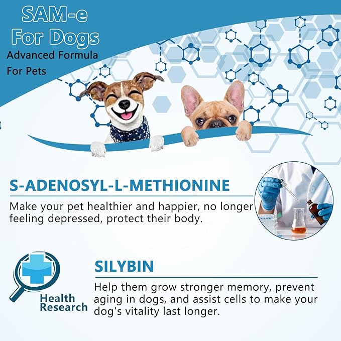 SAMEe for Dogs 500mg Liquid Drops with Silybin – Bacon Liver Flavored Liver Support Supplement for Dogs – S-Adenosyl Methionine & Milk Thistle Extract 60ml (2oz)