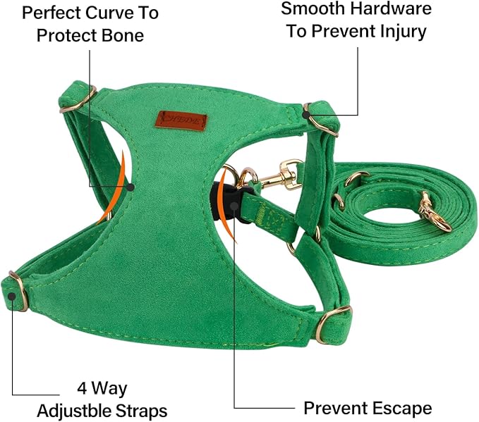 CHEDE No Pull Puppy Harness and Multifunction Dog Leash Set- 8 Colors Soft Adjustable No Choke Escape Proof Cute,Lightweight Pet Vest Harness for Small and Medium Dog (S, Green)