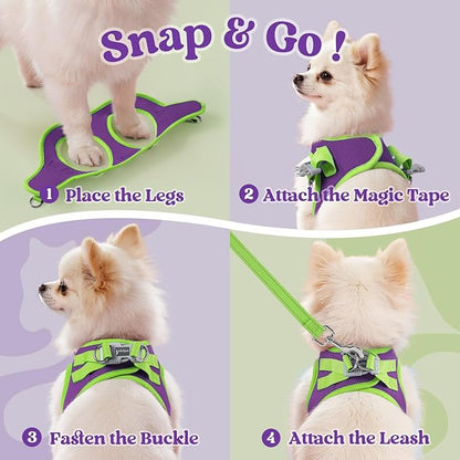 rabbitgoo Dog Harness Small Sized and Leash Set, Step-in Breathable Pet Harness, Soft Walking Reflective Puppy Vest for Small Dogs, Purple & Green, XXS