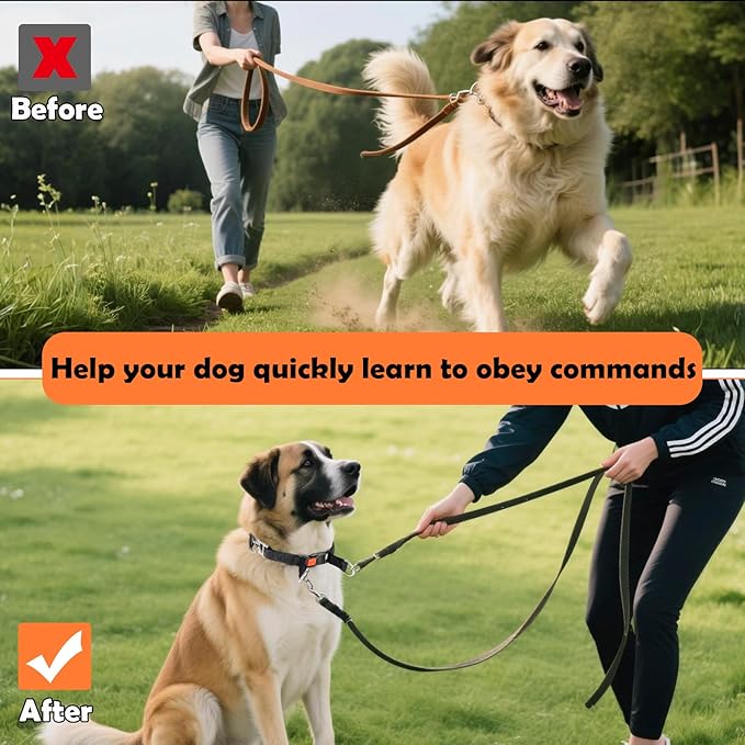 Dog Training Collar, Stainless Steel with Soft Rubber Cap, Adjustable with Quick Release Buckle (S)