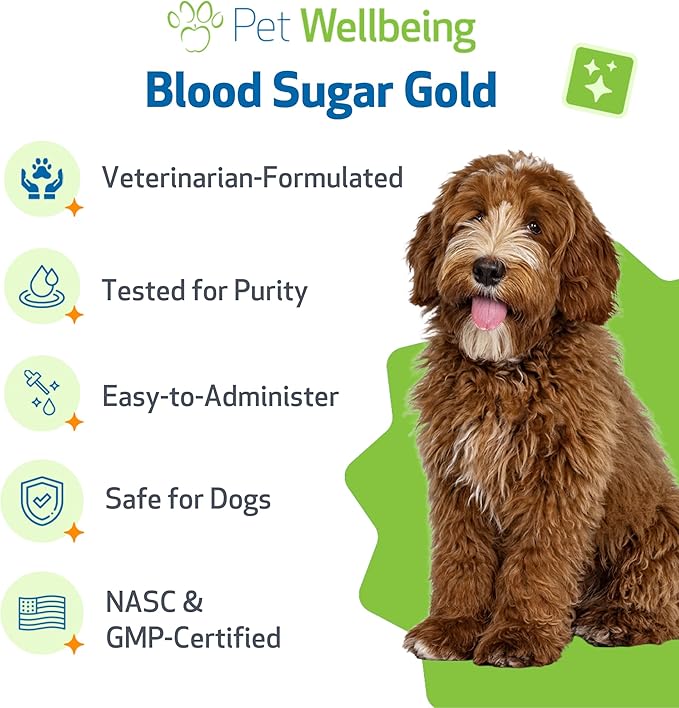 Pet Wellbeing Blood Sugar Gold Dogs - Holistic Blood Sugar Support, Pancreas & Liver Health, Gymnema, Fenugreek & Devil’s Club - NASC Certified & Vet-Formulated - 2 oz Liquid