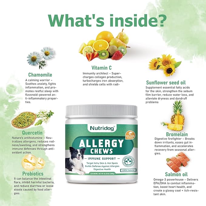 Dog Allergy Chews 120 Count - Salmon Flavor Allergy & Itch Relief with Quercetin, 300M Probiotics | Immune Support for Itchy Skin, Hot Spots & Seasonal Allergies