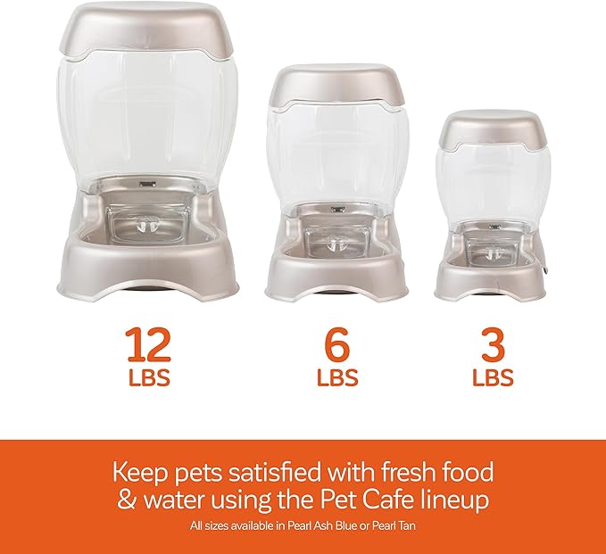 Petmate Pet Cafe Feeder Dog and Cat Feeder Pearlescent Colors 3 Sizes, Made in USA (Pack of 6)
