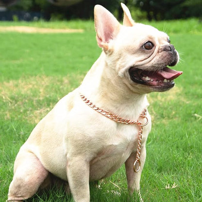 Stainless Steel P Chock Metal Chain -JYHY Dog Necklace Collars Walking Training Pet Supplies for Small Medium Large Dogs (20" (Neck Fits 16"-18"), Rose Gold-1)