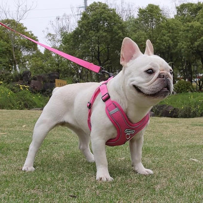 Dog Harness and Leash Set, Adjustable Triangle, Reflective Adjustable Puppy Vest, No Pull Soft Mesh Harness for Small, Medium Dogs, Cats (Fuchsia, S)