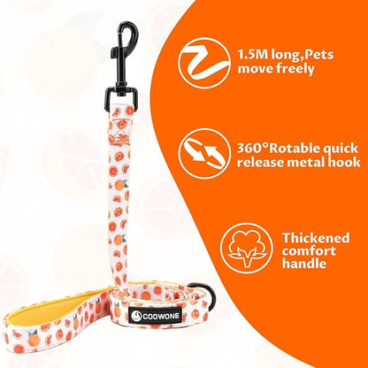 Dog Cat Harness and Leash Set, Puppia Soft Mesh Padded and Adjustable Puppy Vest Cute Dog Clothes Escape Proof Easy Walk Pet Accessories (Grapefruit, M (Neck 13.4"-16.5"; Chest 17.7"-23"))