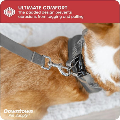Downtown Pet Supply Step in Dog Harness No Pull, X-Large, Light Gray - Adjustable Harness with Padded Mesh Fabric and Reflective Trim - Buckle Strap Harness for Dogs