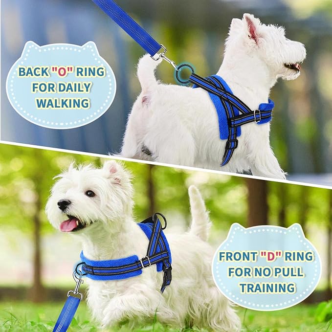 Lukovee No Pull Dog Harness and Leash Set, Soft Padded Small Dog Harness, Neck & Chest Adjustable Reflective Vest Puppy Harness with 4ft Lightweight Anti-Twist Dog Leash for Small Dogs (Blue, M)