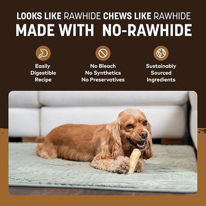 Earth Animal No Hide Chews - Long Lasting Rawhide Free Small Dog Chews Rolls, Venison - 2 Count