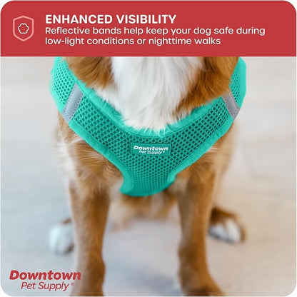 Downtown Pet Supply Step in Dog Harness No Pull, XX-Large, Bermuda Blue - Adjustable Harness with Padded Mesh Fabric and Reflective Trim - Buckle Strap Harness for Dogs