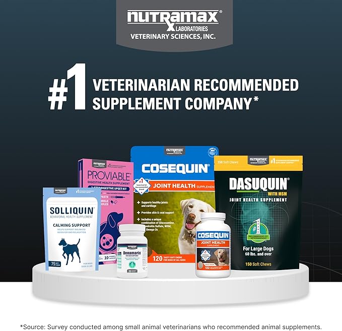 Nutramax Dasuquin for Large Dogs, Joint Health Supplement, Contains Glucosamine for Dogs, Plus Chondroitin, ASU, MSM and More, Supports Healthy Joints, Soft Chews, 150 Count