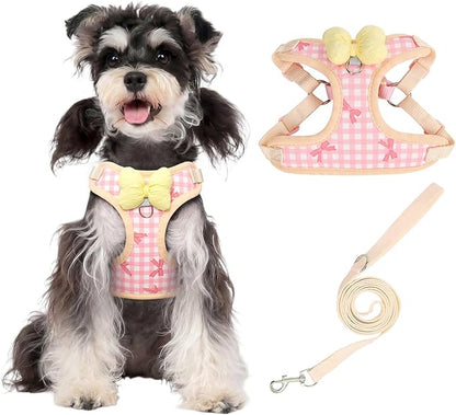 Coppthinktu Dog Harness for Small Sized Dogs, Puppy Cat Harness with Leash Set No Pull Dog Harness Adjustable Reflective Step-in Pet Vest Harnesses with Cute Bow Soft Padded Outdoor Walking
