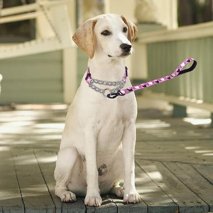 Martingale Dog Collar and Leash Set, Stainless Steel Chain, No Pull Training Collar with Flower Design, for Small, Medium, Large Dogs (NO21, S)