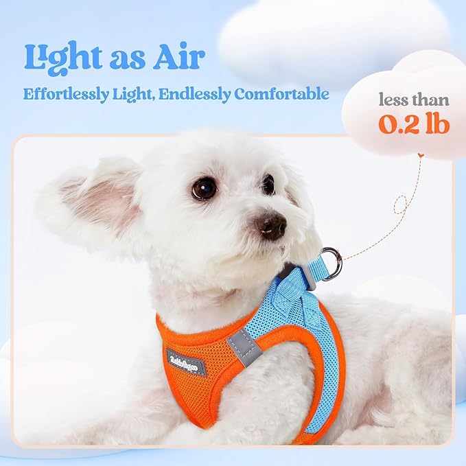 rabbitgoo Dog Harness Small Sized and Leash Set, Step in Soft Light Puppy Vest, Breathable Mesh Pet Harness, Reflective for Safe Easy Walking, Blue & Orange S