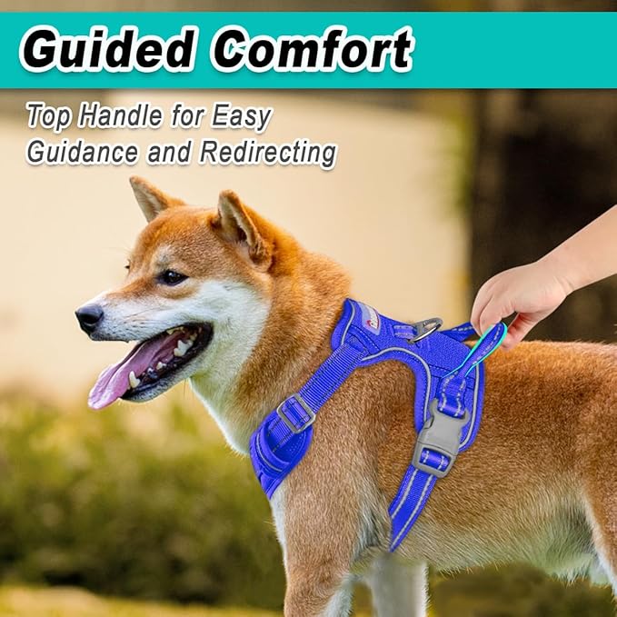 BARKBAY Dog Harness No Pull Mesh for Large Dogs - Adjustable, Reflective, Comfortable, No Choke, Heavy-Duty - Perfect for Outdoor Training, Walking, and Hiking-Strong&Durablee- XL & Sapphire Blue Mesh